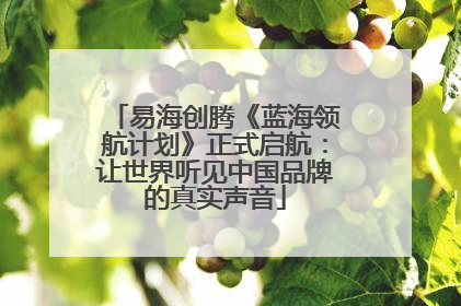 易海创腾《蓝海领航计划》正式启航：让世界听见中国品牌的真实声音