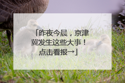 昨夜今晨，京津冀发生这些大事！点击看报→