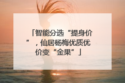 智能分选“提身价”，仙居杨梅优质优价变“金果”