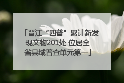 晋江“四普”累计新发现文物201处 位居全省县域普查单元第一