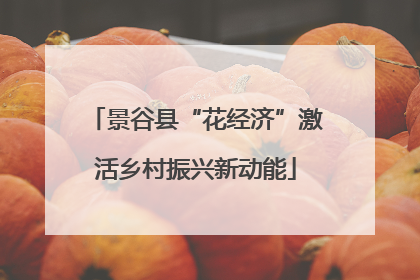 景谷县“花经济”激活乡村振兴新动能