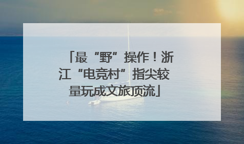 最“野”操作！浙江“电竞村”指尖较量玩成文旅顶流