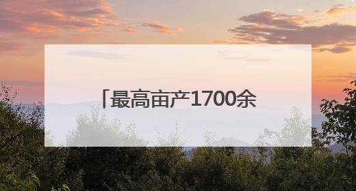 最高亩产1700余斤！东明县刘楼镇：高标准农田增效增收