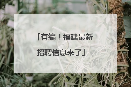 有编！福建最新招聘信息来了