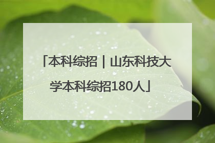 本科综招｜山东科技大学本科综招180人