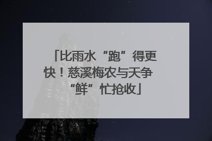 比雨水“跑”得更快！慈溪梅农与天争“鲜”忙抢收