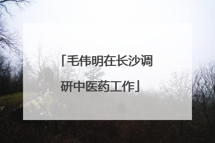 毛伟明在长沙调研中医药工作