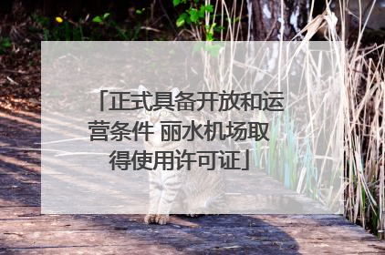 正式具备开放和运营条件 丽水机场取得使用许可证