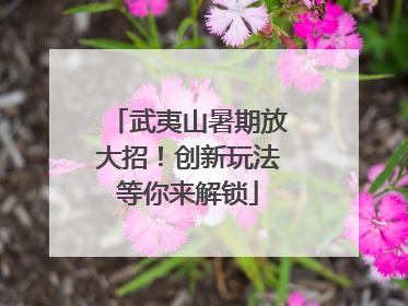 武夷山暑期放大招！创新玩法等你来解锁