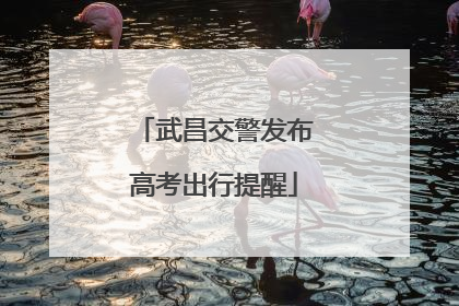 武昌交警发布高考出行提醒