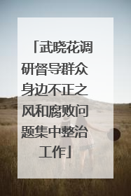武晓花调研督导群众身边不正之风和腐败问题集中整治工作
