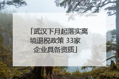 武汉下月起落实离境退税政策 33家企业具备资质