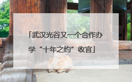 武汉光谷又一个合作办学“十年之约”收官