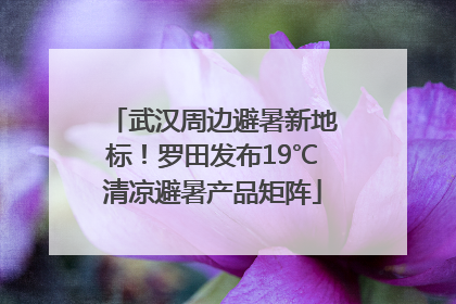 武汉周边避暑新地标！罗田发布19℃清凉避暑产品矩阵