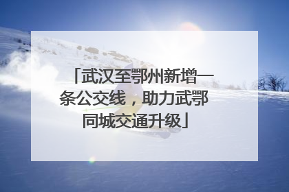 武汉至鄂州新增一条公交线，助力武鄂同城交通升级