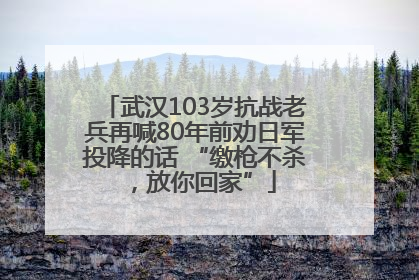 武汉103岁抗战老兵再喊80年前劝日军投降的话 “缴枪不杀，放你回家”