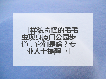 样貌奇怪的毛毛虫现身厦门公园步道，它们是啥？专业人士提醒→