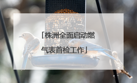 株洲全面启动燃气表首检工作
