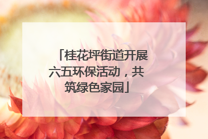 桂花坪街道开展六五环保活动，共筑绿色家园
