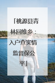 桃源县青林回维乡：入户查实情 监督保公平