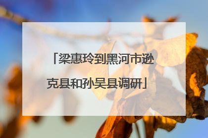 梁惠玲到黑河市逊克县和孙吴县调研