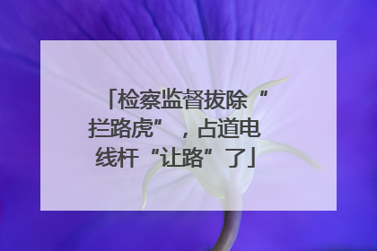 检察监督拔除“拦路虎”，占道电线杆“让路”了