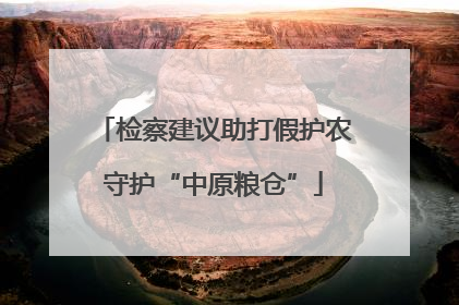 检察建议助打假护农守护“中原粮仓”