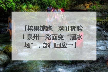 榕果铺路、落叶糊脸！泉州一路面变“溜冰场”，部门回应→