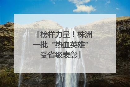 榜样力量！株洲一批“热血英雄”受省级表彰