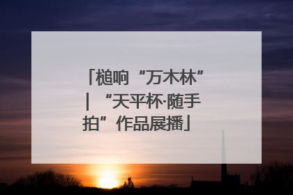 槌响“万木林”｜“天平杯·随手拍”作品展播
