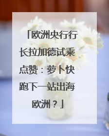 欧洲央行行长拉加德试乘点赞：萝卜快跑下一站出海欧洲？