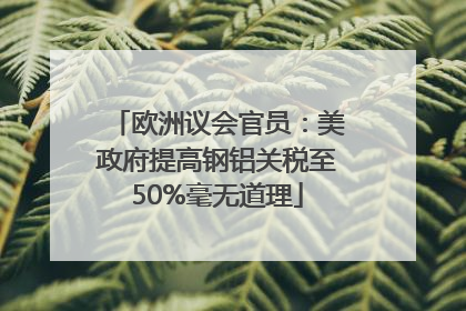 欧洲议会官员：美政府提高钢铝关税至50%毫无道理