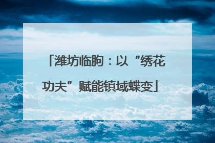 潍坊临朐：以“绣花功夫”赋能镇域蝶变