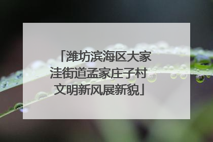 潍坊滨海区大家洼街道孟家庄子村文明新风展新貌