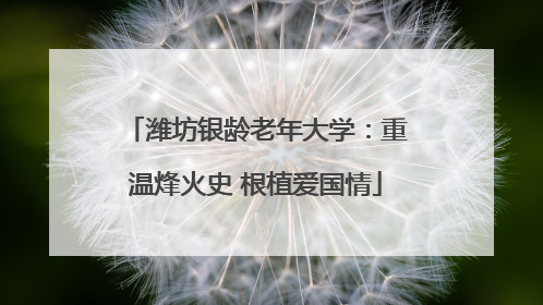 潍坊银龄老年大学：重温烽火史 根植爱国情
