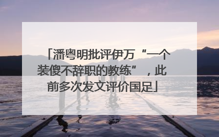 潘粤明批评伊万“一个装傻不辞职的教练”，此前多次发文评价国足
