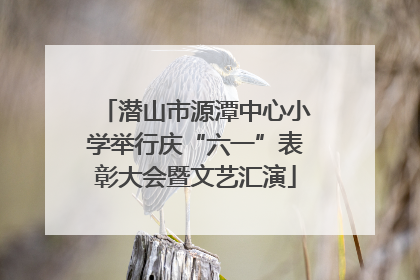 潜山市源潭中心小学举行庆“六一”表彰大会暨文艺汇演