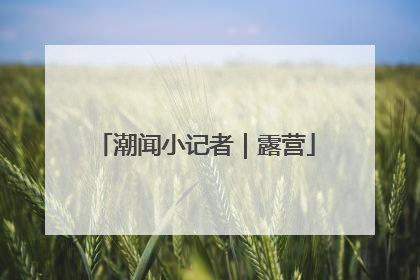 潮闻小记者｜露营