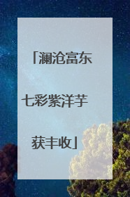 澜沧富东七彩紫洋芋获丰收