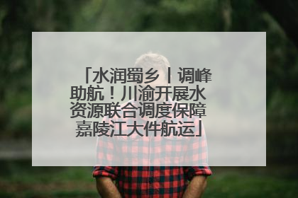 水润蜀乡丨调峰助航！川渝开展水资源联合调度保障嘉陵江大件航运