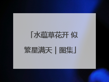 水蕴草花开 似繁星满天｜图集