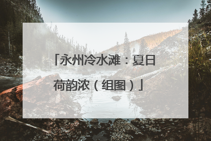 永州冷水滩：夏日荷韵浓（组图）