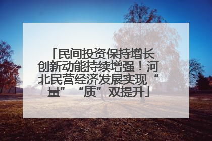 民间投资保持增长 创新动能持续增强！河北民营经济发展实现“量”“质”双提升