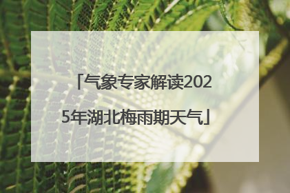 气象专家解读2025年湖北梅雨期天气