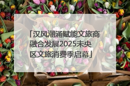 汉风潮涌赋能文旅商融合发展2025未央区文旅消费季启幕