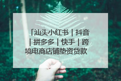 汕头小红书｜抖音｜拼多多｜快手｜跨境电商店铺垫资贷款企业-漫商易