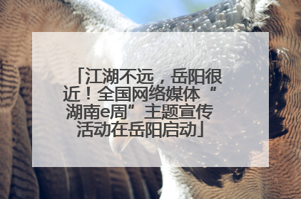 江湖不远，岳阳很近！全国网络媒体“湖南e周”主题宣传活动在岳阳启动