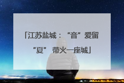 江苏盐城：“音”爱留“夏” 带火一座城