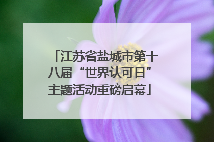 江苏省盐城市第十八届“世界认可日”主题活动重磅启幕