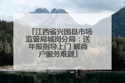 江西省兴国县市场监管局城岗分局：送年报指导上门 解商户服务难题